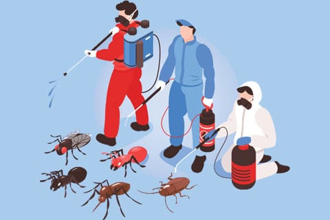 Industrial Pest Control Brampton